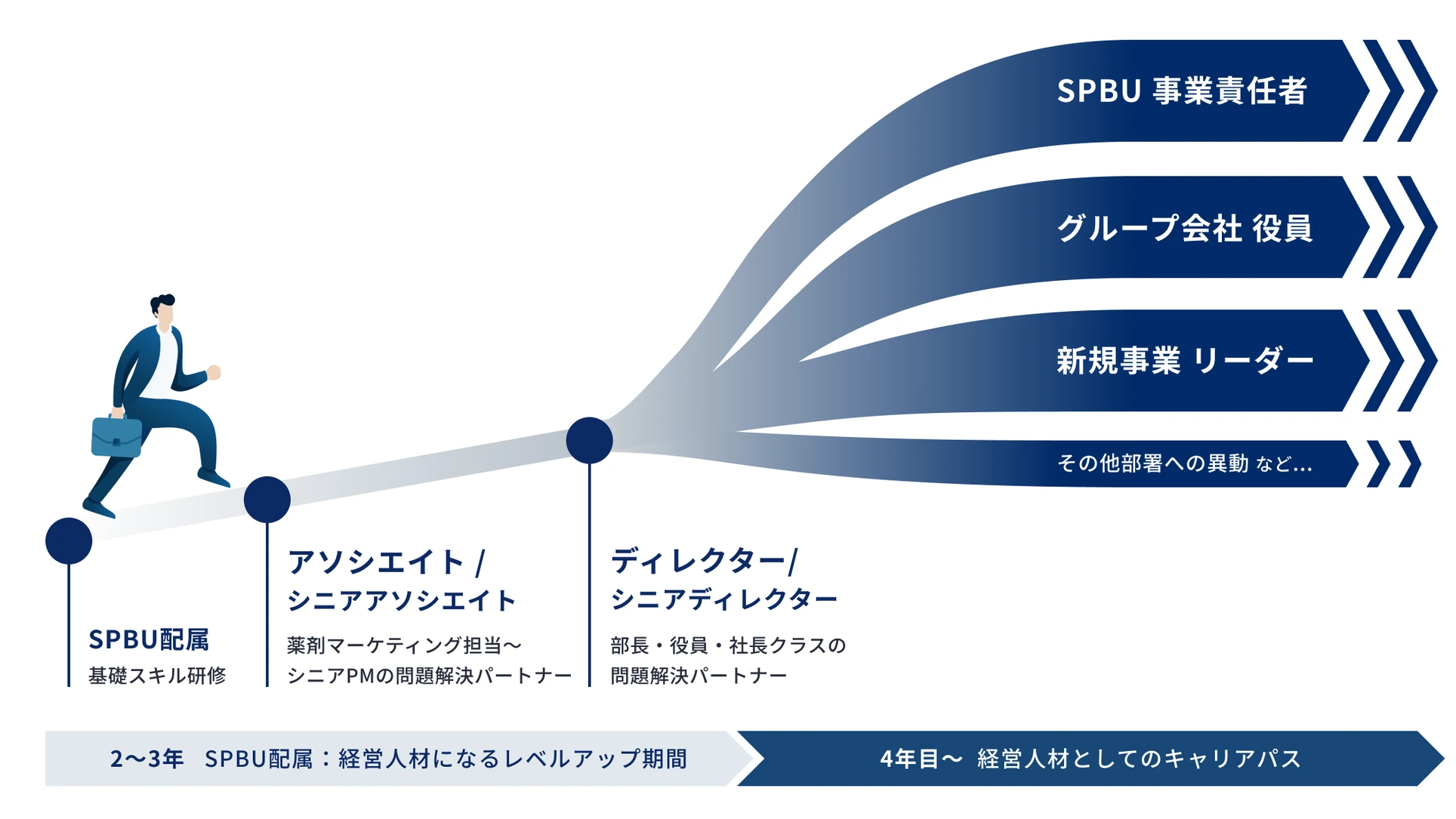 SPBU のキャリアパス図。2〜3年の SPBU 配属で基礎スキル研修を受けた後、アソシエイト・シニアアソシエイトとして薬剤マーケティング担当からシニア PM の問題解決パートナーへ、続いてディレクター・シニアディレクターとして部長・役員・社長クラスの問題解決パートナーへ進み、4年目以降は SPBU 事業責任者、グループ会社役員、新規事業リーダー、その他部署への異動といった経営人材としてのキャリアパスに広がる